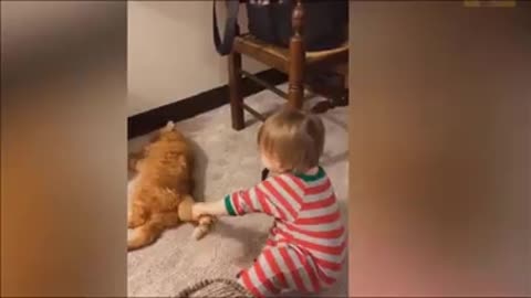 Kids vs 🐈🐈😺