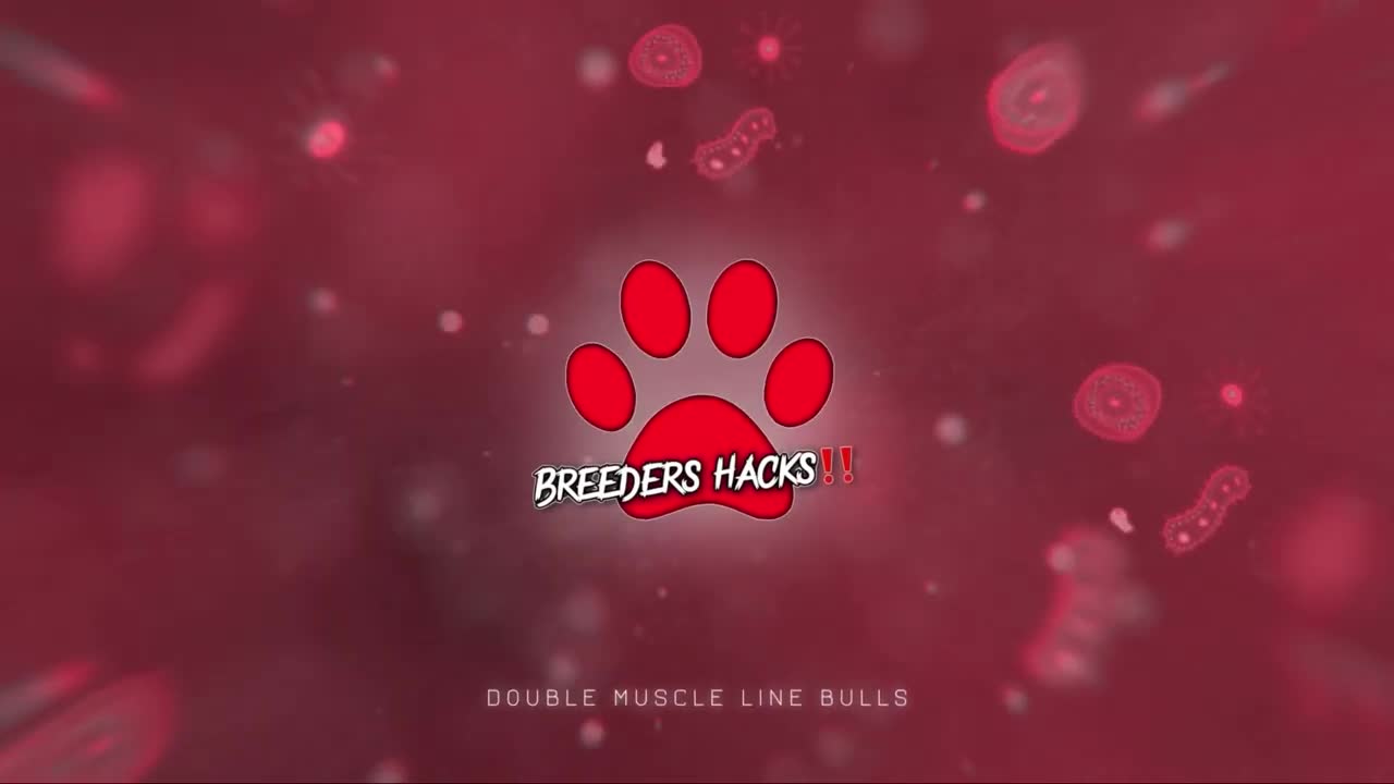 Dog breeding Questions & Answers (Episode #6) - Breeders Hacks