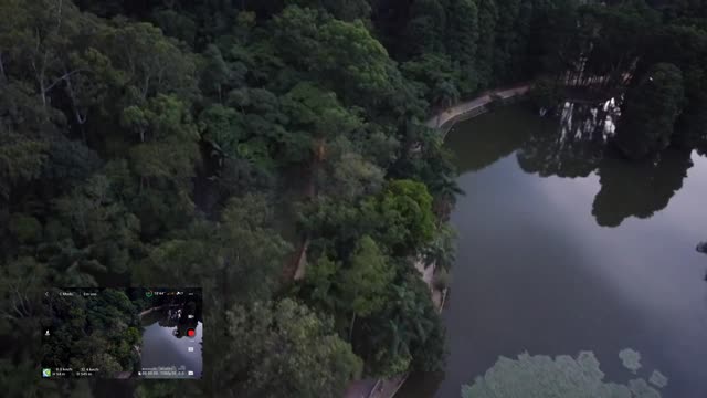 VOEI NO HORTO FLORESTAL NO FINAL DE TARDE | DJI MINI2 | LUCAS CAMARGO