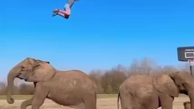 Anything is possible.