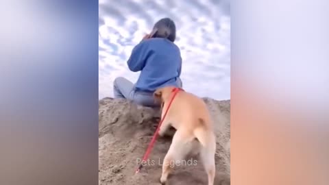 Funniest Animals