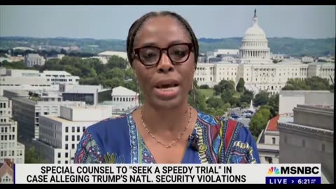 Democrat On MSNBC: He (Trump) Needs To Be Shot… Stopped” Over Classified Documents