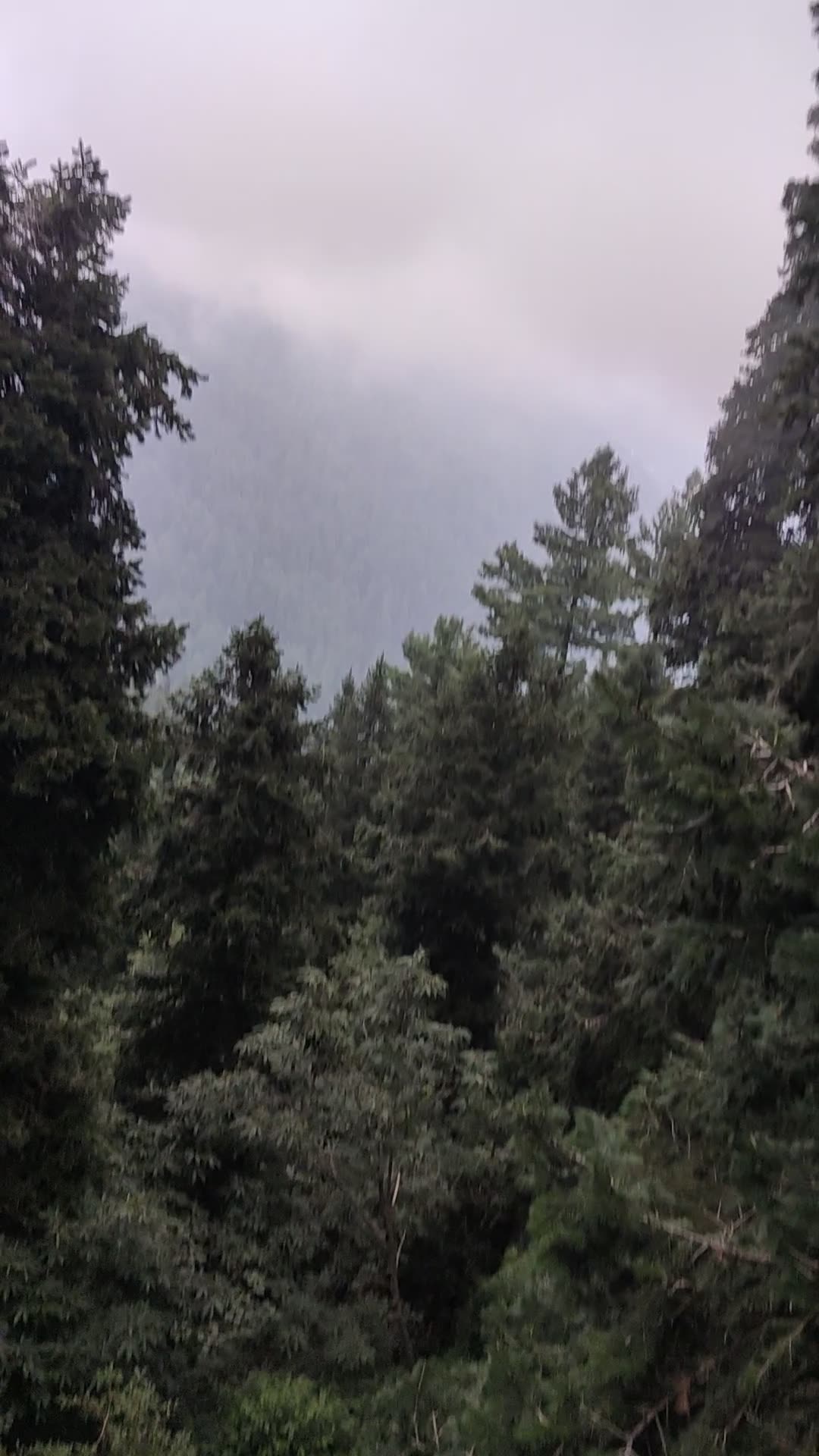 Nathia Gali Pakistan