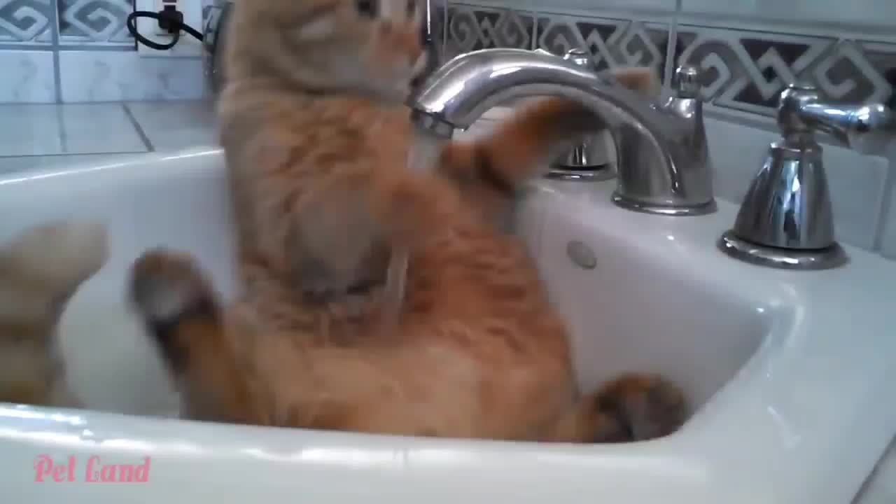 do not forget to take a bath