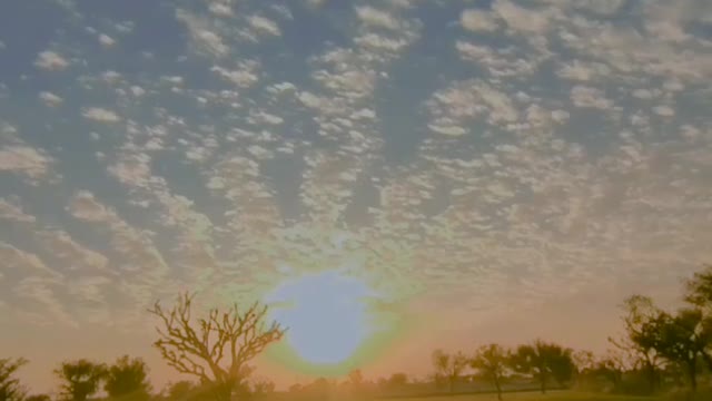 Nature🌿🍃 Majak Na Bana Hamare Desi Pane Ka Desi Hu Gavaar Nahi