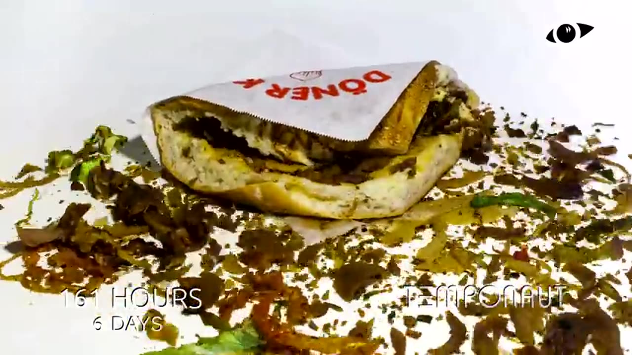 Doner Kebab Destroyed By Maggots Time-Lapse