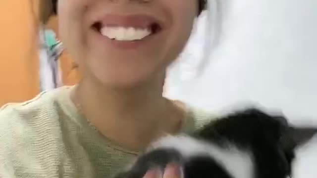 cat reaction