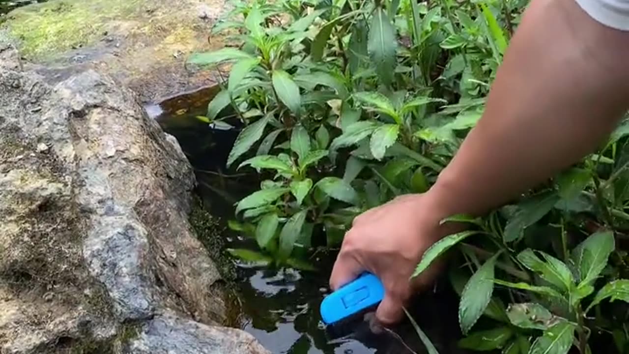 iPhone camera view for water