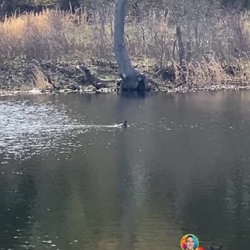 WHEN NATURE DOESN'T COOPERATE!