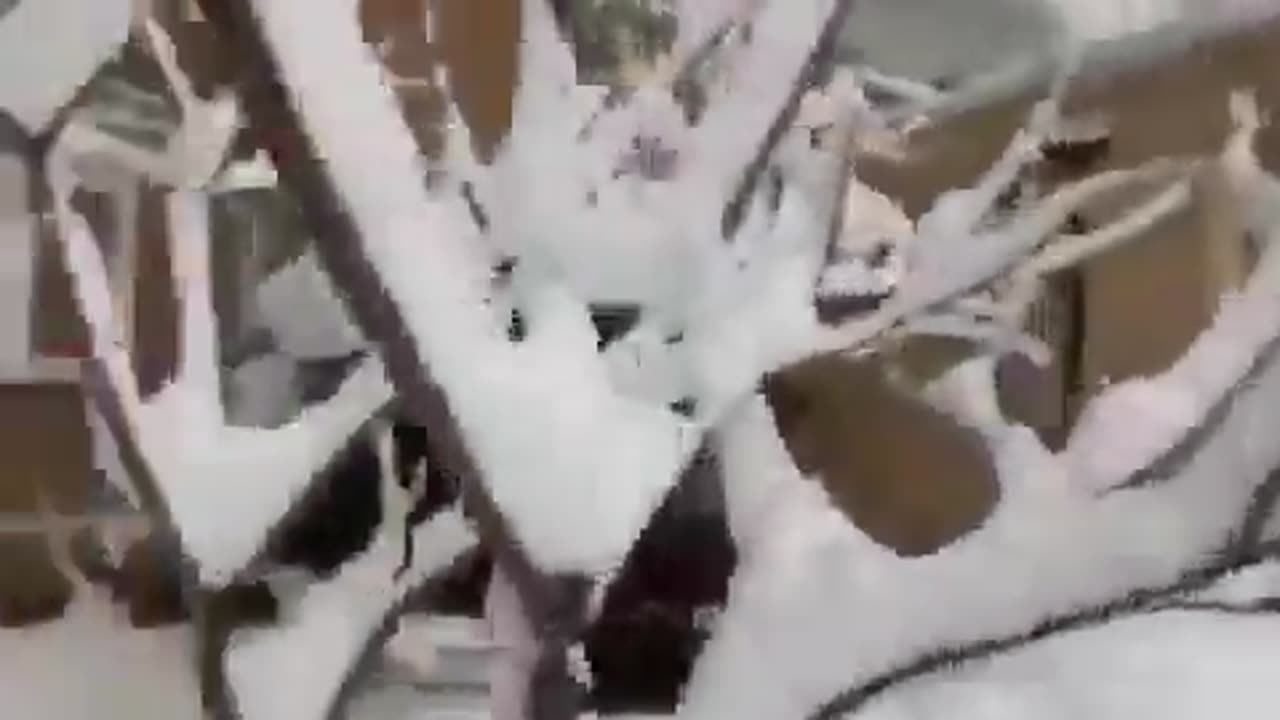 Moskau Dezember 2023
