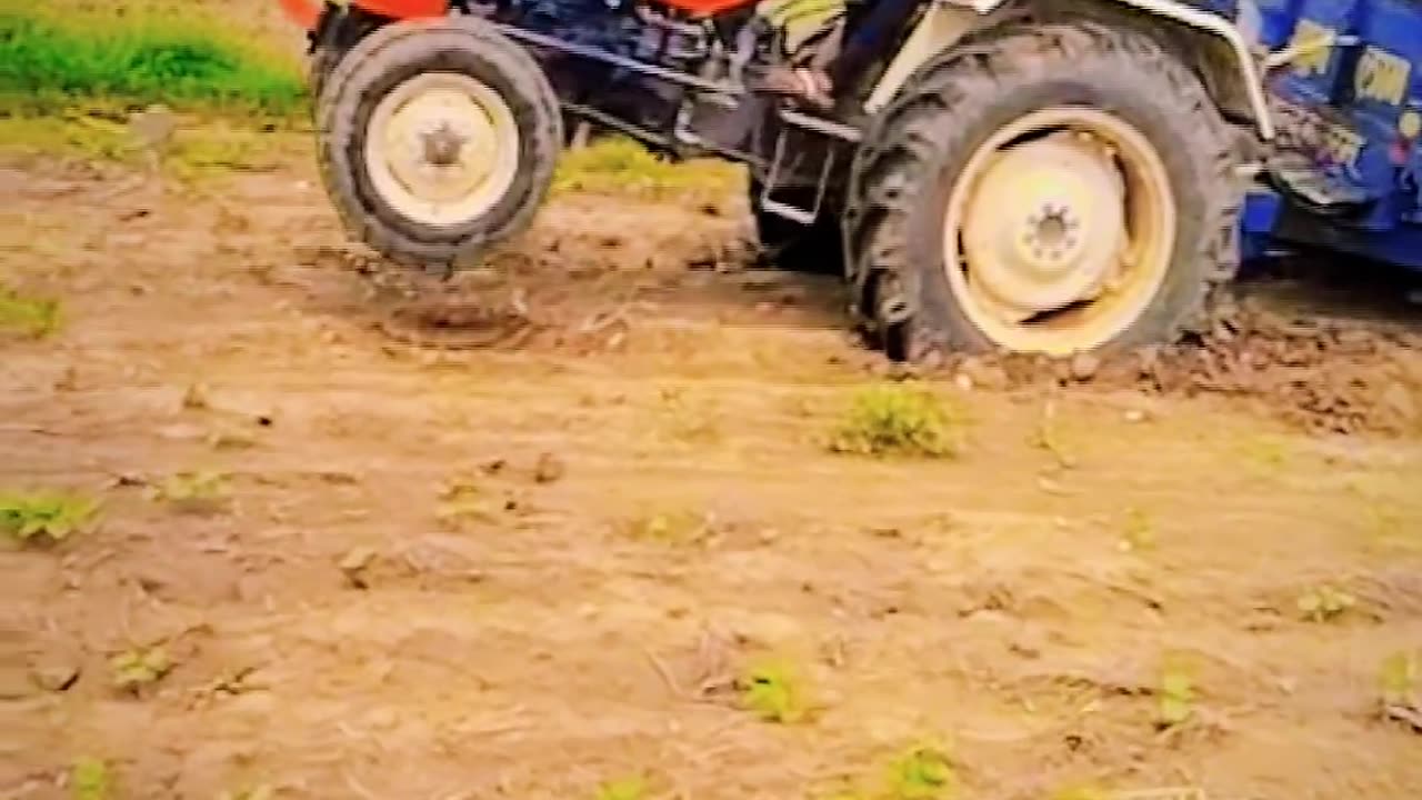 Tractor funny video