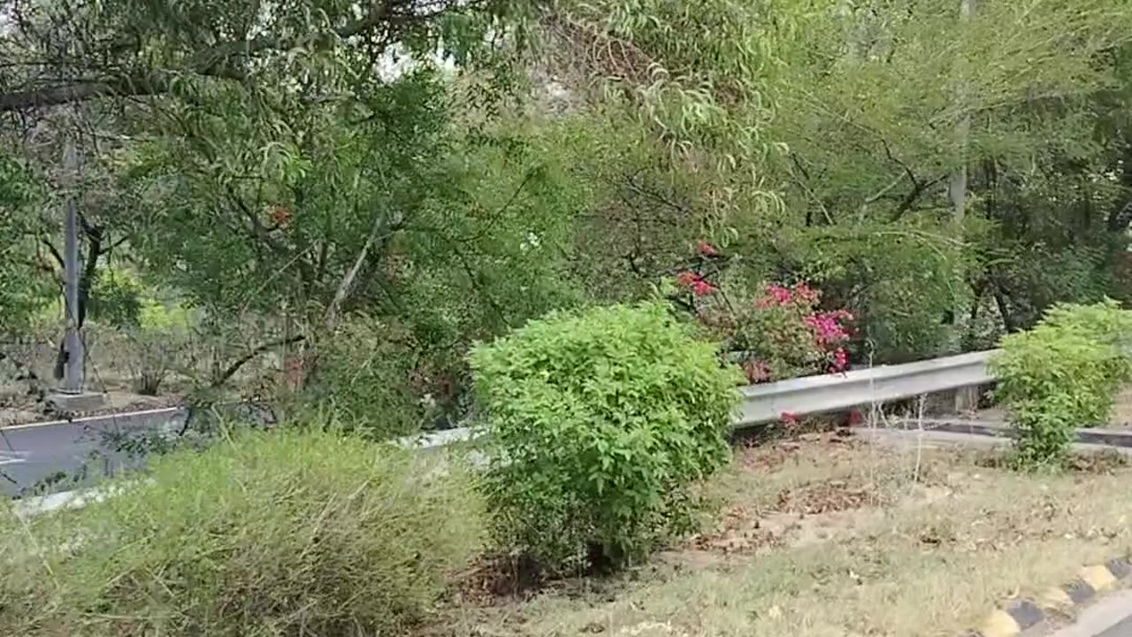 Morning Ride