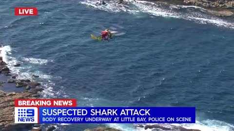 Human remains found after suspected shark attack in Sydney | 9 News Australia