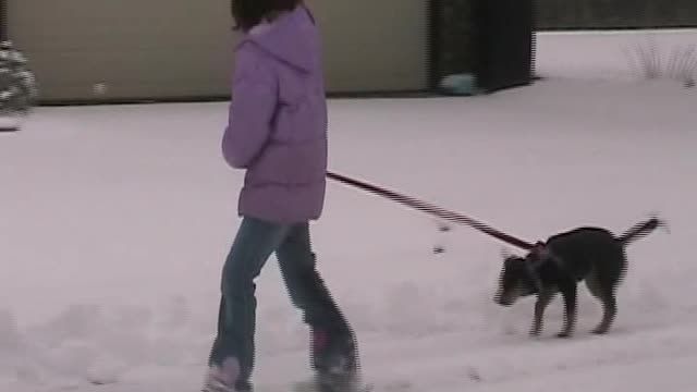 Hope's first snow with Addi and Jade