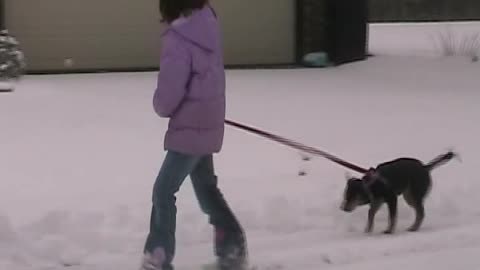 Hope's first snow with Addi and Jade