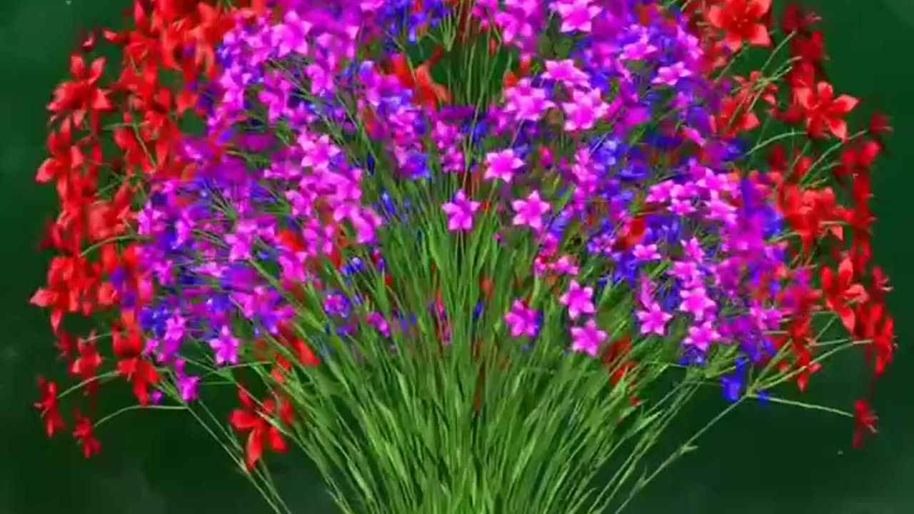 Amazing Art of Blooming Flowers 💐🌹🌹