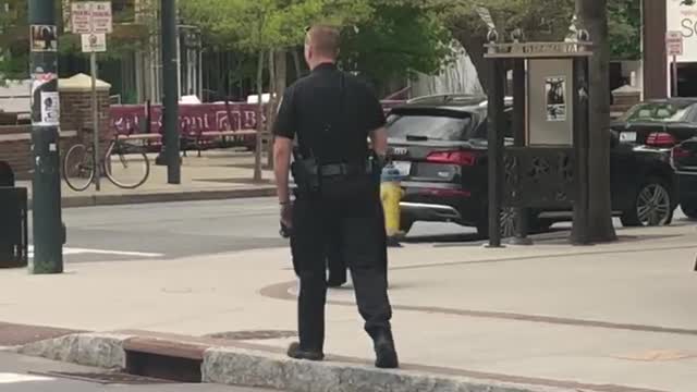 Police Help Escort Black Bear in Downtown Asheville to Safety