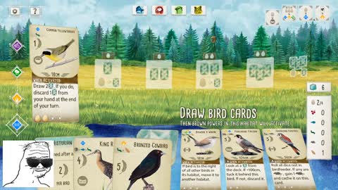 Wingspan: Wild Goose Chase Achievement