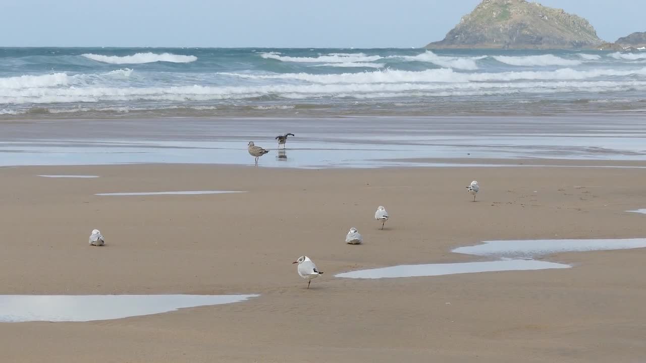 Beach Sand Sea Seaside Seashore Coast Coastal