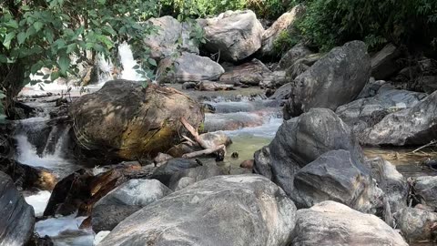 I made these by the river side