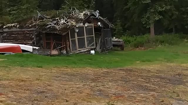 Denali off grid lodge clear water mountain