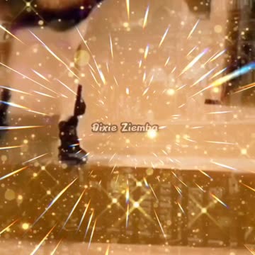 These pups are ready to put on their dancing shoes! 🐾🎶