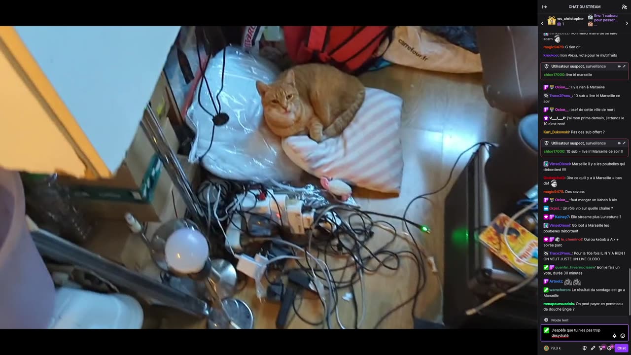 2023-04-08 (2bis.1) - Morpion - Twitch Meutemediatique (version avec chat)