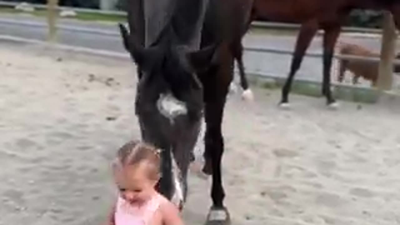 Little princess' love for horses