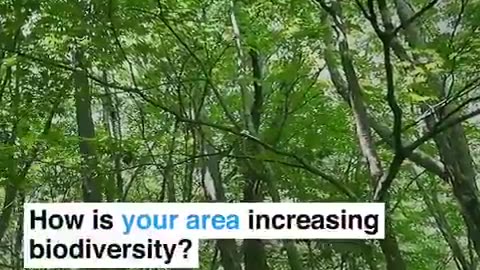 Tiny Urban Forests! The Secret to Transforming Cities into Natural Paradise