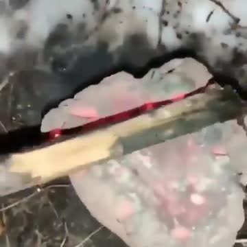 Is this a real Meteorite?