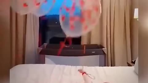 Cute🥰🥰😍😍