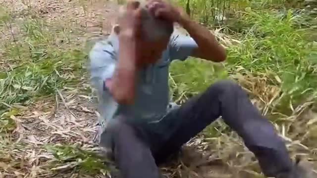Best Funny Videos - Try to Not Laugh 😆😂🤣