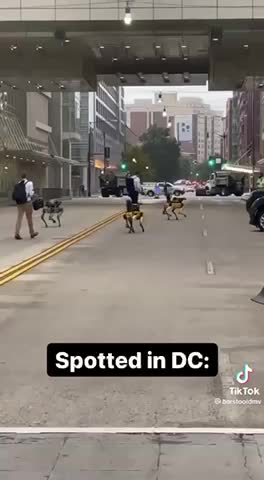 ROBOT DOGS SPOTTED IN D.C.