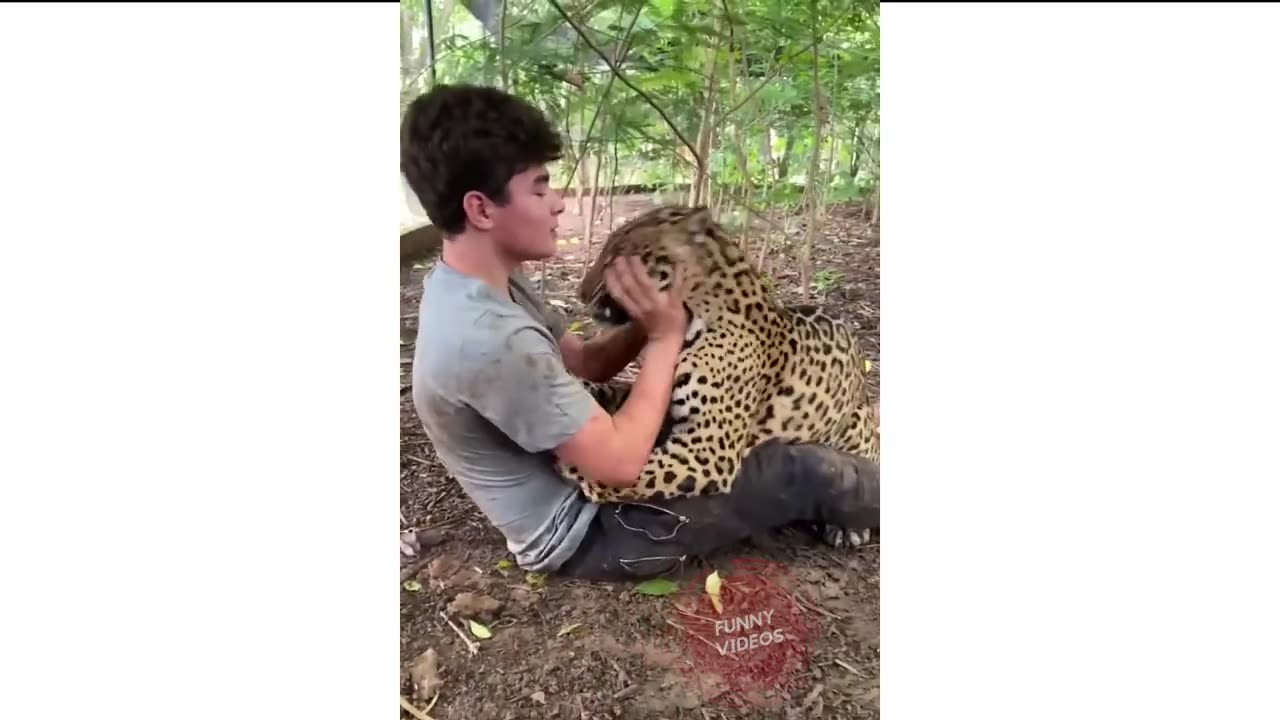 Funniest and Cutest moment of animals #15.mp4"