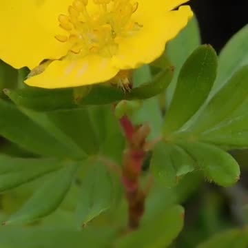 Escape the Stress: How Relaxing This Really Is! Volume 93