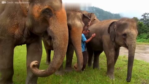 Animals Reunited With Owners After YEARS #3