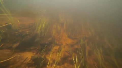Underwater Adventure