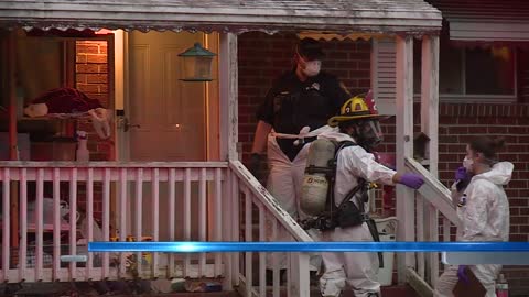 10 dead animals found in Portsmouth home