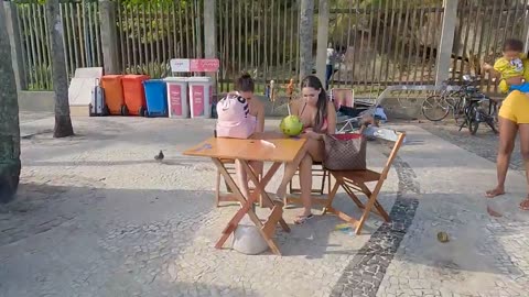 Rio de Janeiro _ CARNIVAL BRAZIL _ Ipanema Beach Walk