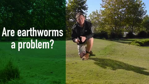 How to Manage Earthworm Castings_Cut