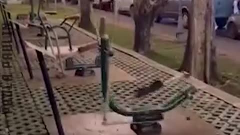 You Don't See That Everyday