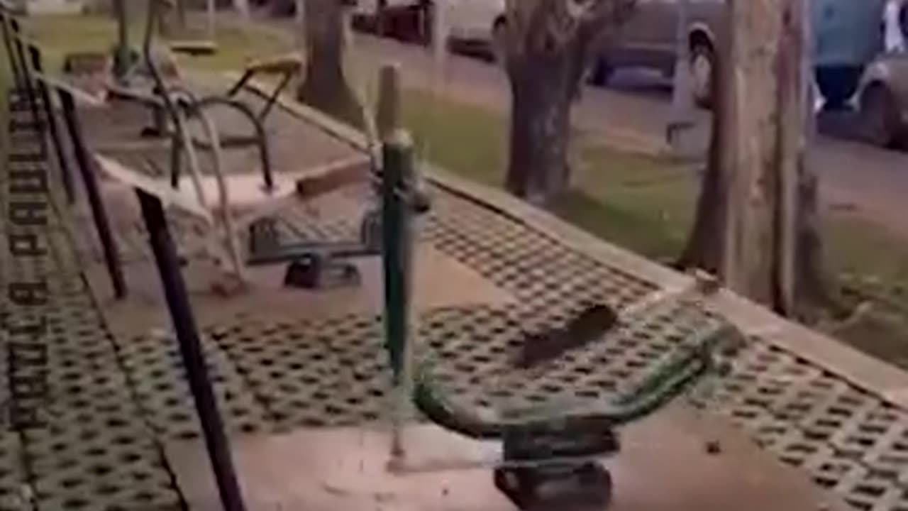 You Don't See That Everyday