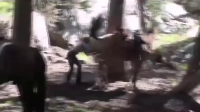WOOWW!! NEVER TOUCH MY ASS