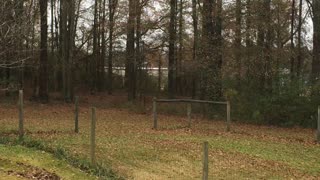 Wind Chimes and Leaves