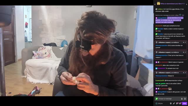 2023-01-02 (1bis.1) - Trouver un logement en 2023 - Twitch Triskelina (version avec chat)