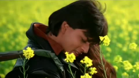 Shahrukh Khan and Kajol (Dilwale dulhania le jayenge movie// scene video best)
