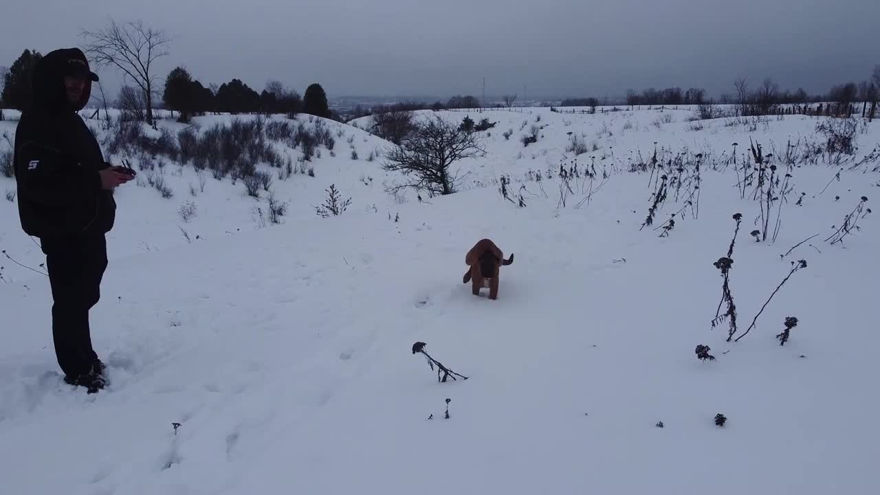 Run!!!!