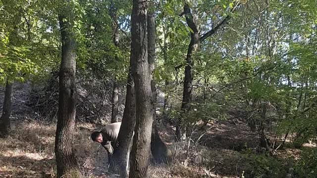 My Turkish husband is chopping wood for our heating this winter