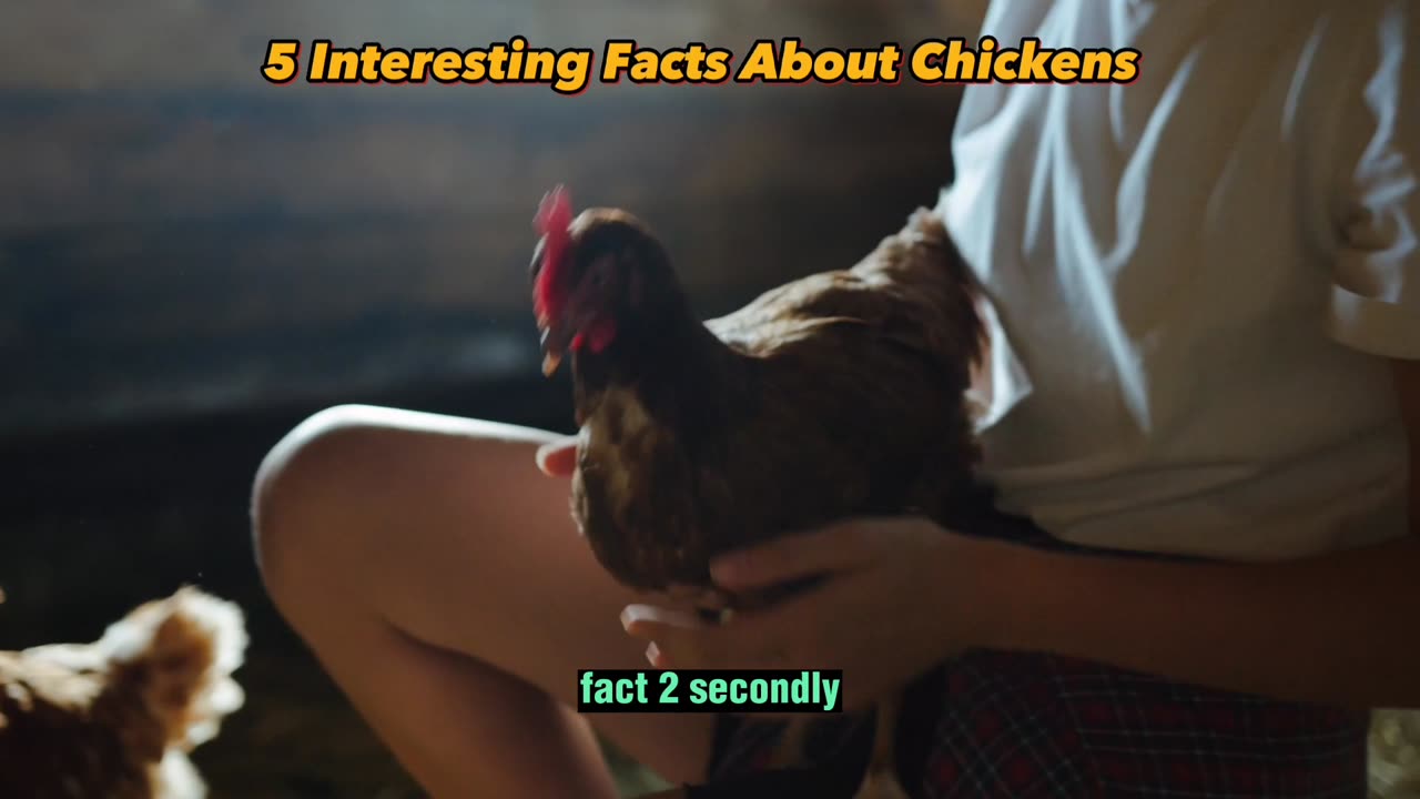 5 Interesting Facts About Chickens