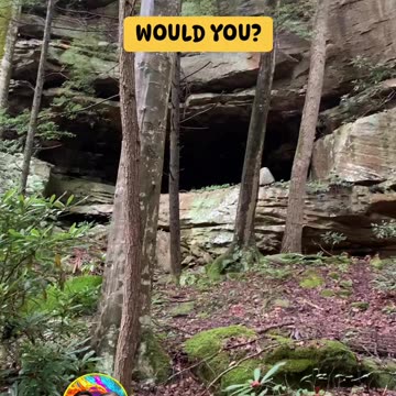 WOULD YOU GO IN THERE?